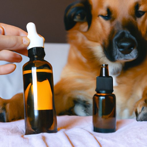 The Benefits and Risks of Giving Human CBD to Dogs