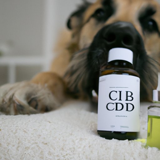 The Science Behind Giving Dogs Human CBD