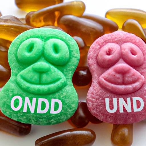 The Pros and Cons of Giving Your Dog Human CBD Gummies