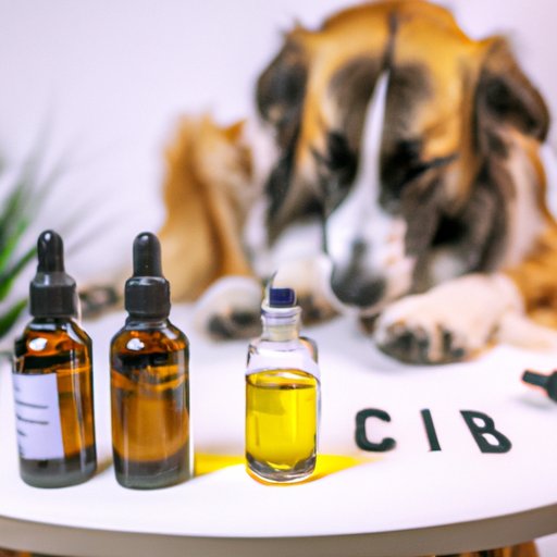 IV. The Benefits of Using CBD Oil for Puppies with Anxiety or Pain