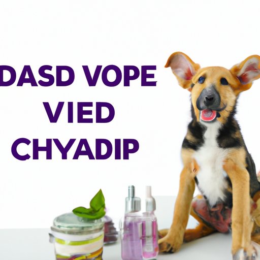 V. The Top 5 CBD Products for Puppies