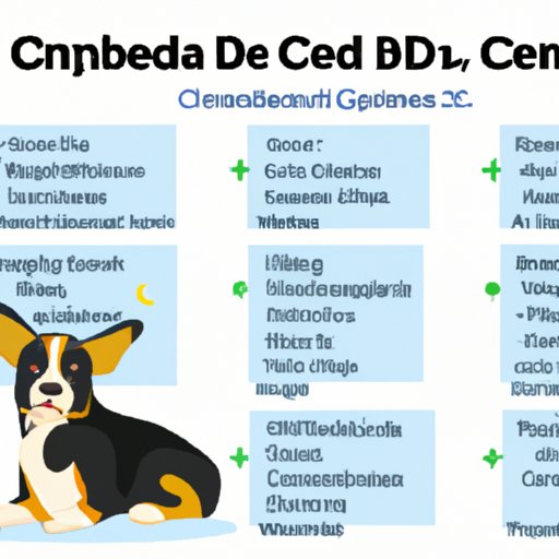 The Signs and Symptoms That a Dog Has Been Given Too Much CBD and When to Seek Veterinary Care