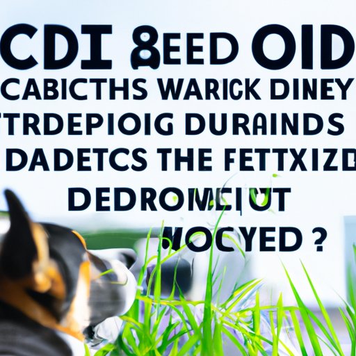The Potential Risks and Side Effects of Giving Too Much CBD to Dogs