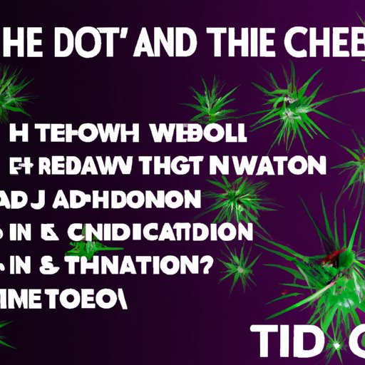 IV. The Effects of Too Much THC or CBD in the Body: What You Need to Know