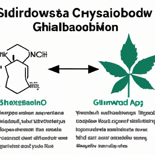  Combining CBD and Ashwagandha: A Comprehensive Guide to Potential Benefits and Side Effects 