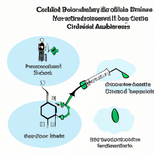 The Link between CBD and Insulin Resistance: Exploring the Potential Benefits for Diabetes Patients