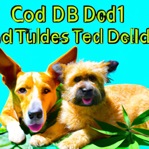 II. The Ultimate Guide to CBD Dog Treats and their Effectiveness