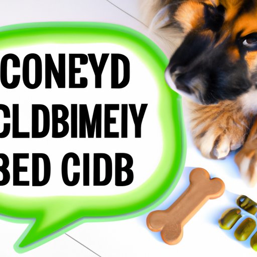 An Ultimate Guide for Pet Parents about CBD Dog Treats for Anxiety