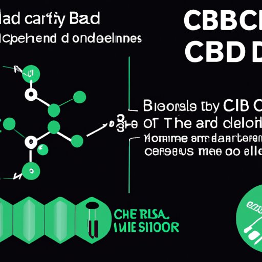 The Science Behind CBD and How It Works in the Body