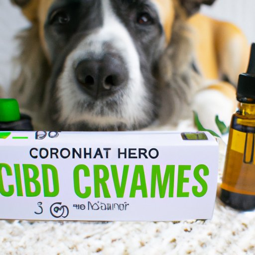 IV. Review of Various Types of CBD Oil Products for Dogs That Some Vets May Recommend