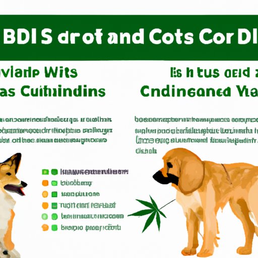 V. Potential Side Effects of CBD Oil for Dogs Based on Vet Insights