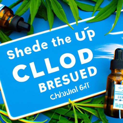 Exploring the Benefits of CBD Oil and How Blue Cross Blue Shield Can Help You Access Them