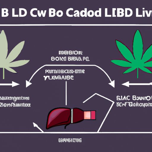 The Role of CBD in Treating Liver Disease
