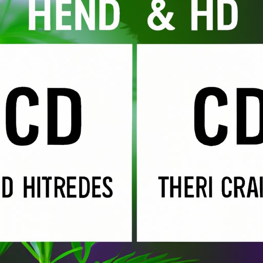 The Differences Between CBD and THC