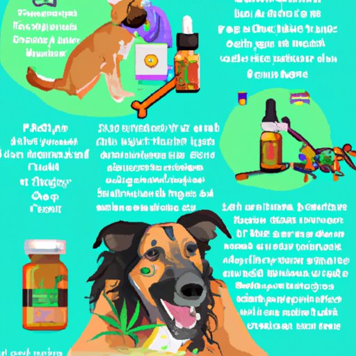 III. A Comprehensive Guide to Using CBD Oil to Treat Anxiety in Canines