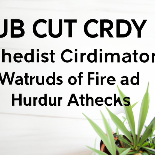 An Overview of How CBD Affects Urinary Function