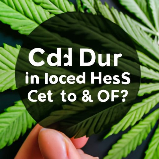 Debunking the Myth: Why CBD May Not Actually Cause Headaches