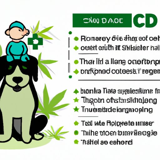 VIII. CBD and THC Dosage Recommendations for Dogs: Tips for Safe and Effective Use