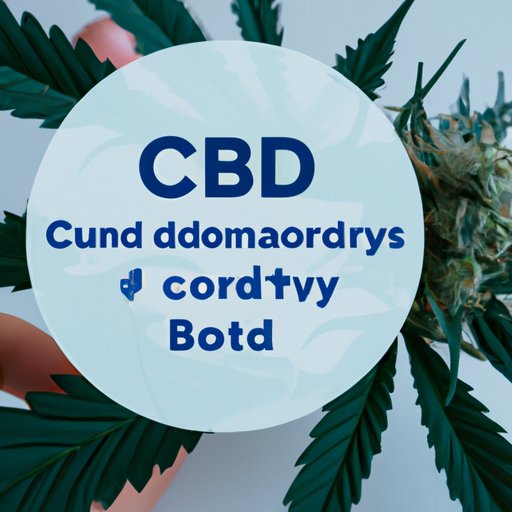 Exploring CBD Flower: Its Effects on the Body and Mind