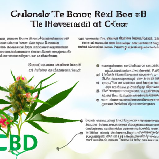 Understanding the Science: How CBD Flower Works in the Body to Provide Therapeutic Benefits