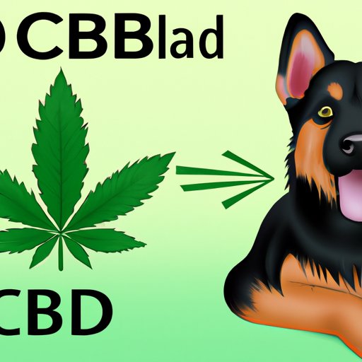 VII. Dog Owners Rejoice: CBD Provides Medicinal Benefits without the High