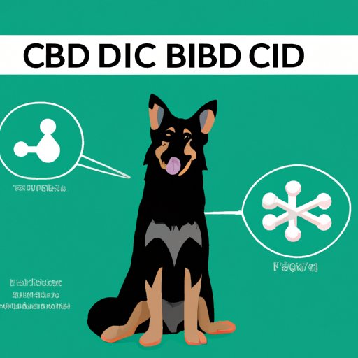 IV. CBD for Fido: What Every Dog Owner Should Know about CBD and Intoxication