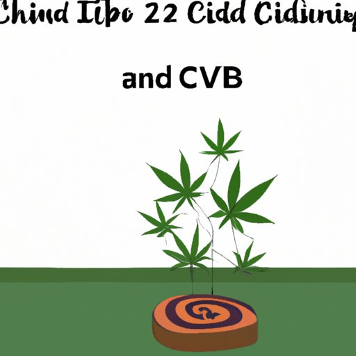 IV. The Relationship Between CBD and the Endocannabinoid System in Regulating Appetite