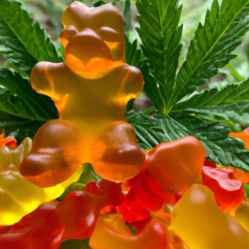 Exploring the World of CBD Gummies: A Safe and Nurturing Experience