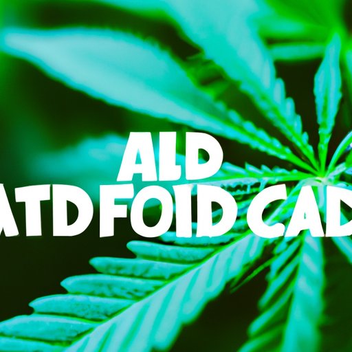 CBD and ADHD: Separating Facts from Fiction