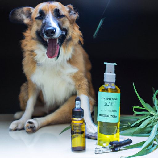 Taming the Beast Within: Exploring the Benefits of CBD for Aggression in Dogs