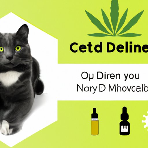 IV. Soothe Your Anxious Feline with CBD: Everything You Need to Know