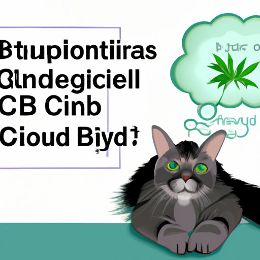 VI. The Benefits of Using CBD Oil to Treat Anxiety in Cats
