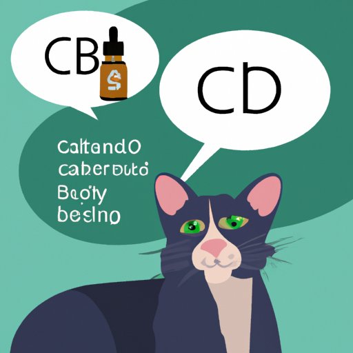 VIII. Interview with a Veterinarian: The Role of CBD Oil in Treating Cat Anxiety