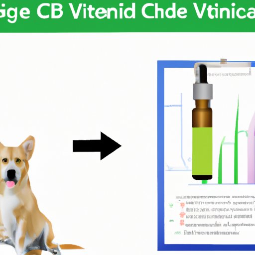 VI. Understanding the Science Behind CBD and Dog Health