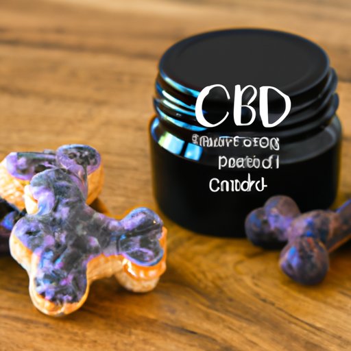 The Top 5 CBD Dog Treats for Calming Anxiety