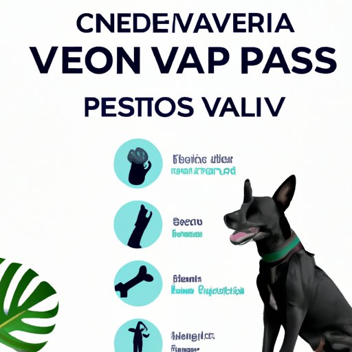 V. Pawsitively Pain Free: A Comprehensive Guide to Treating Joint Pain in Dogs with CBD