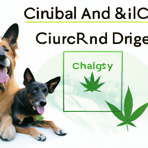 IV. Unlocking the Benefits of CBD for Dogs with Arthritis and Joint Pain
