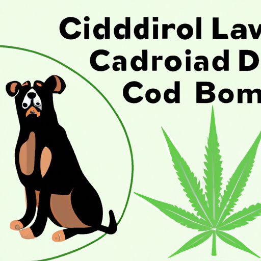 II. The Healing Power of CBD for Dogs with Lymphoma: A Comprehensive Guide