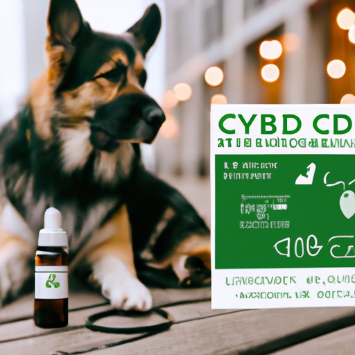 V. The Science Behind CBD Oil for Dogs and Separation Anxiety