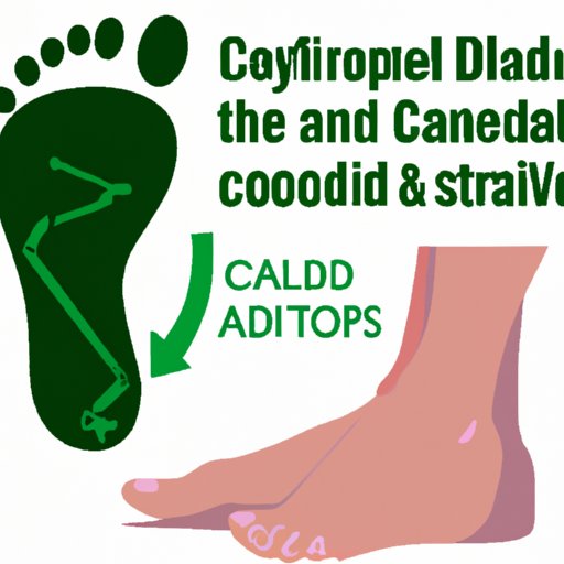 II. Relief for Sore Feet: What CBD Can Do For Plantar Fasciitis