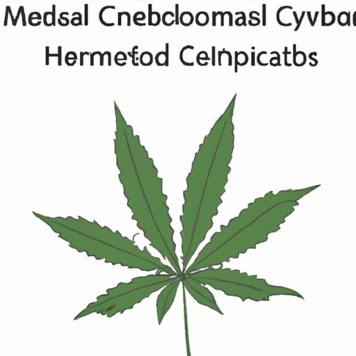 The Effect of Cannabinoids on Metabolism