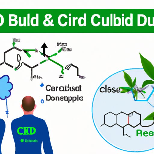 Exploring the science behind CBD and its impact on upper respiratory congestion