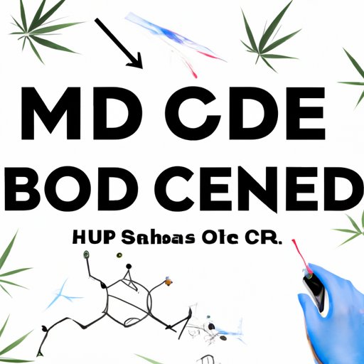 CBD for Muscle Recovery: The Science Behind it