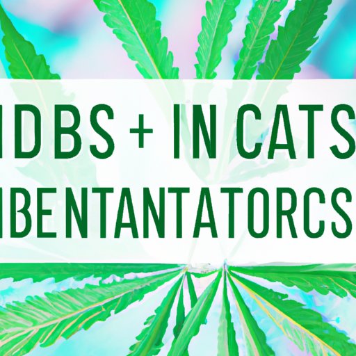 CBD and IBS: What the Research Says