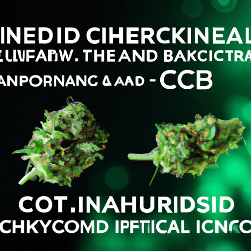 The Science of CBD and THC