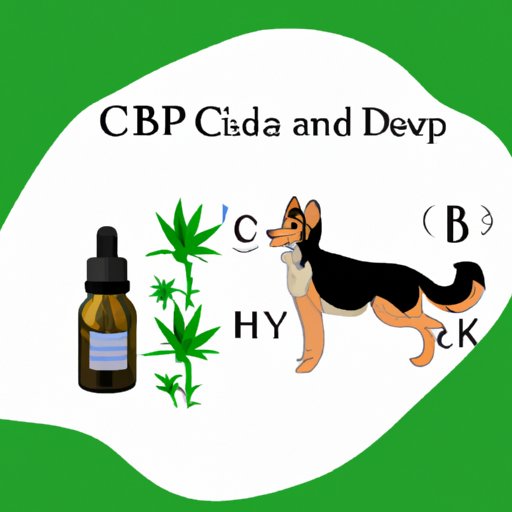 VI. Natural Remedies for Hyperactivity in Dogs: The Effectiveness of CBD Oil