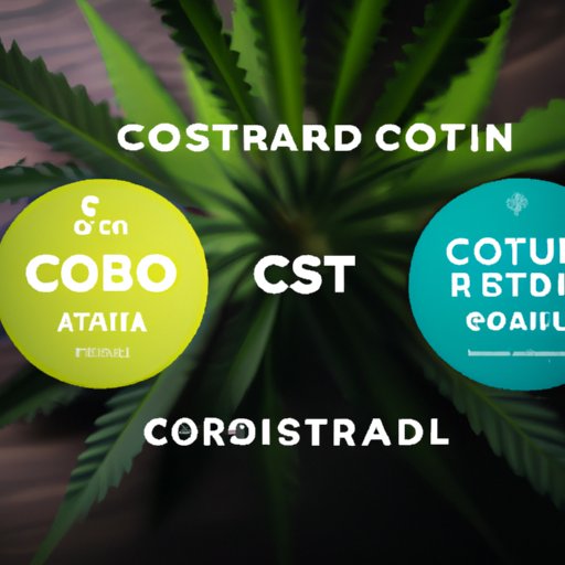 Exploring the Relationship Between CBD and Cortisol: A Definitive Guide