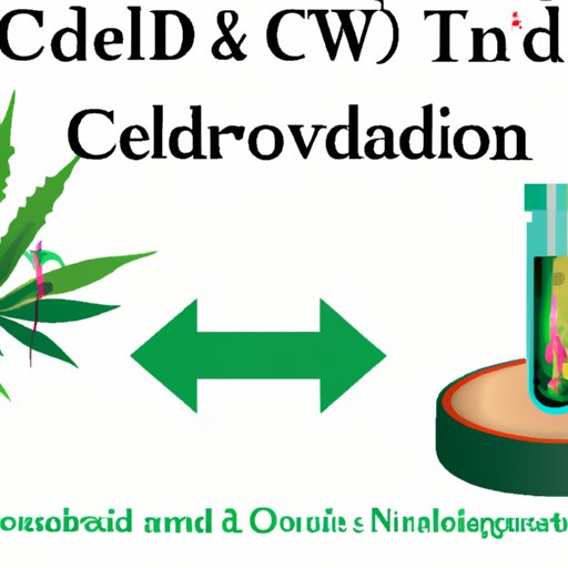IV. The Role of the Endocannabinoid System in Wound Healing and The Effects of CBD