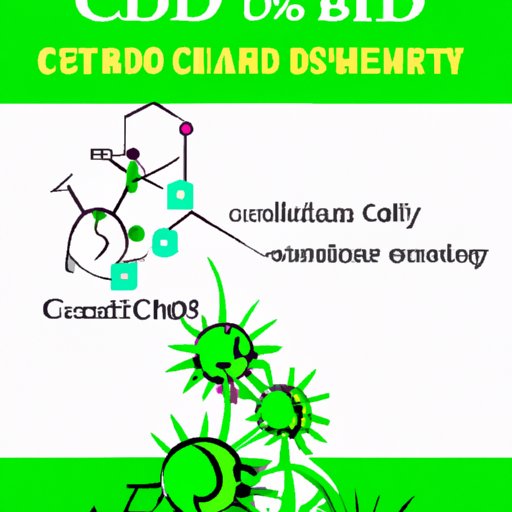II. The Science Behind How CBD Affects the Immune System
