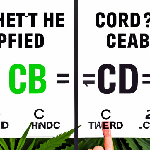 Comparing the Differences between Using CBD with THC and Using CBD without THC